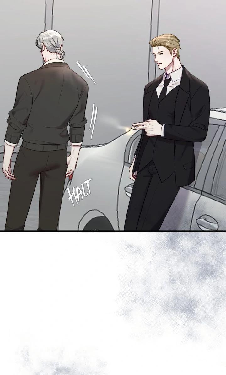 The Billionaire’s Replacement Wife Chapter 66 page 41 - 