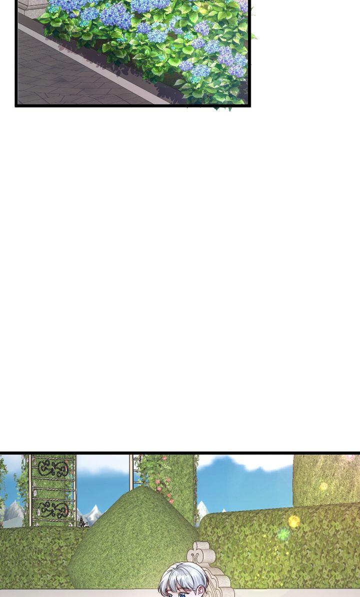 The Billionaire’s Replacement Wife Chapter 70 page 27 - 