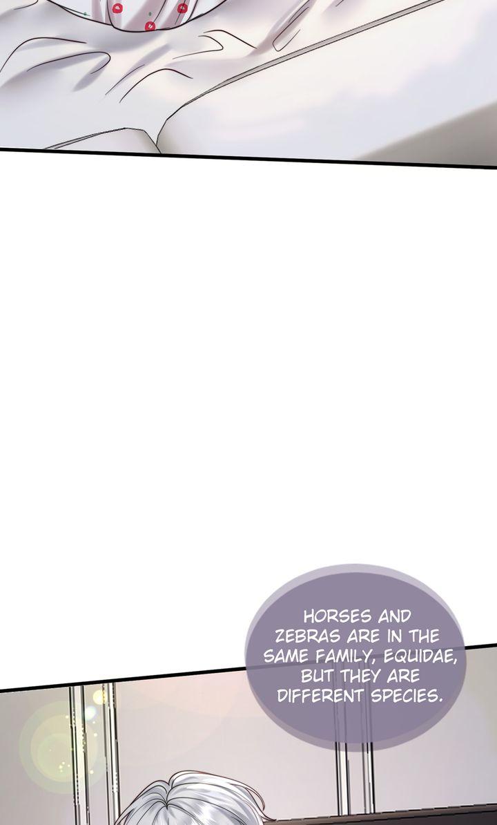 The Billionaire’s Replacement Wife Chapter 71 page 2 - 