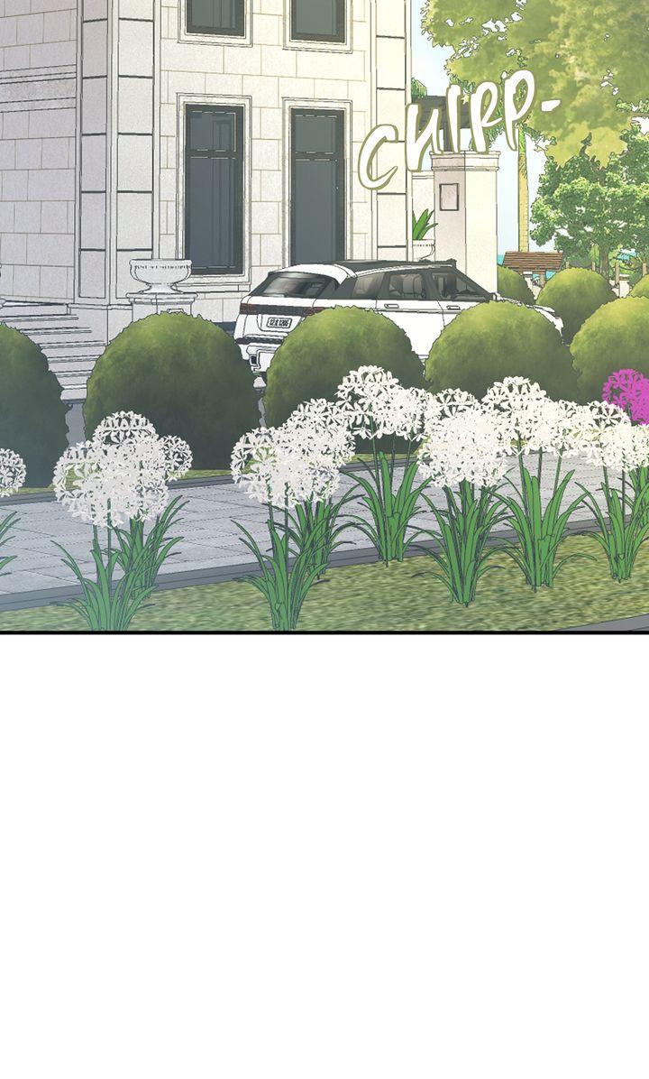 The Billionaire’s Replacement Wife Chapter 72 page 2 - 