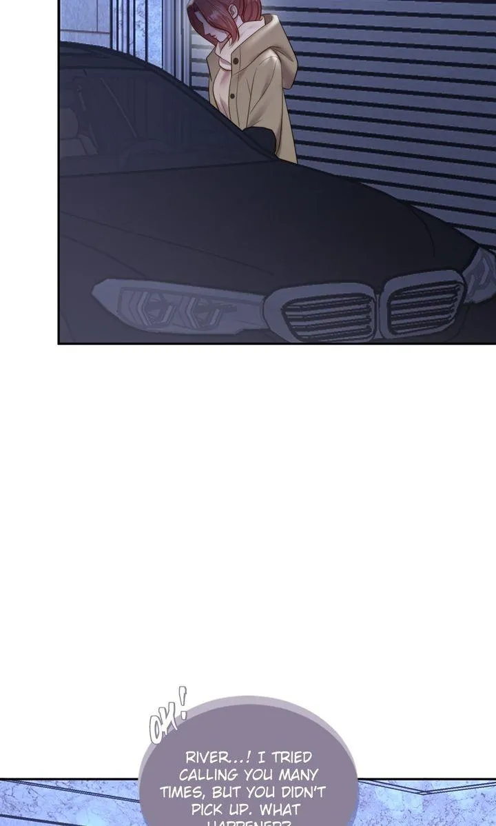 The Billionaire’s Replacement Wife Chapter 81 page 46 - 