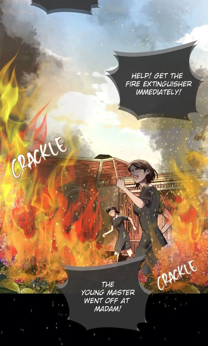 The Billionaire’s Replacement Wife Chapter 84 page 30 - 