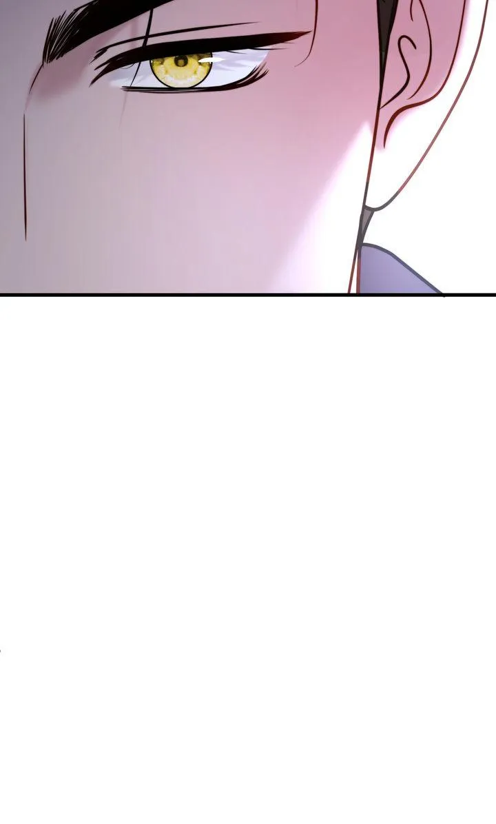 The Billionaire’s Replacement Wife Chapter 85 page 95 - 