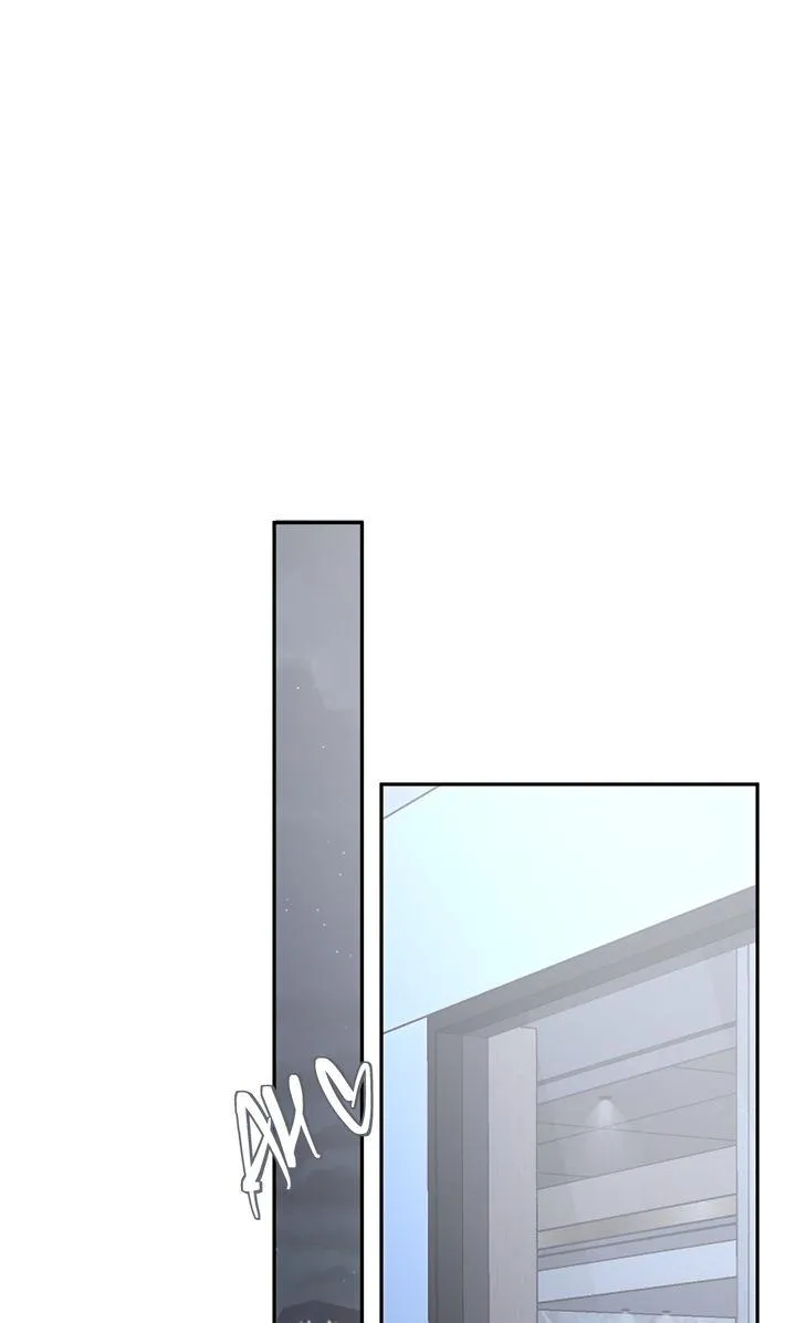 The Billionaire’s Replacement Wife Chapter 85 page 96 - 