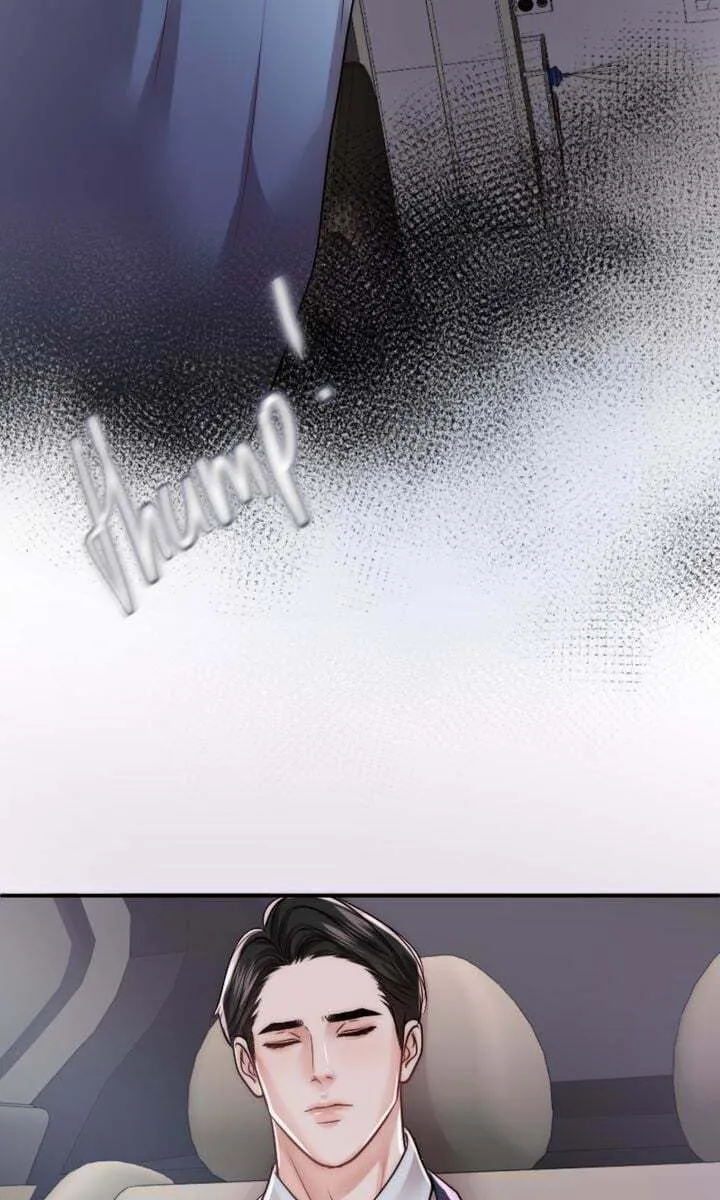 The Billionaire’s Replacement Wife Chapter 9 page 29 - 