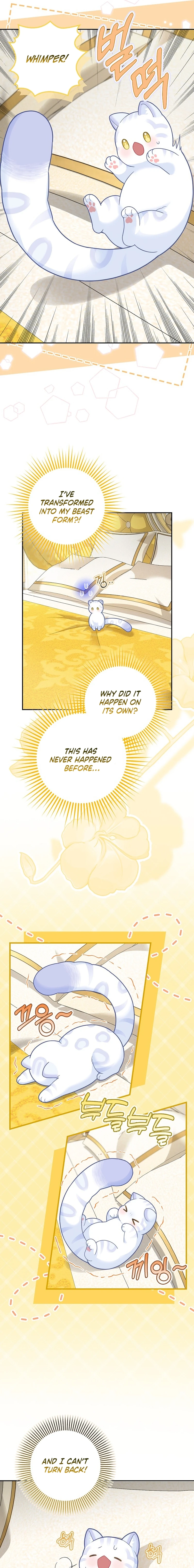 The Black Leopard Family’s Snow Leopard Baby Chapter 21 page 7 - 