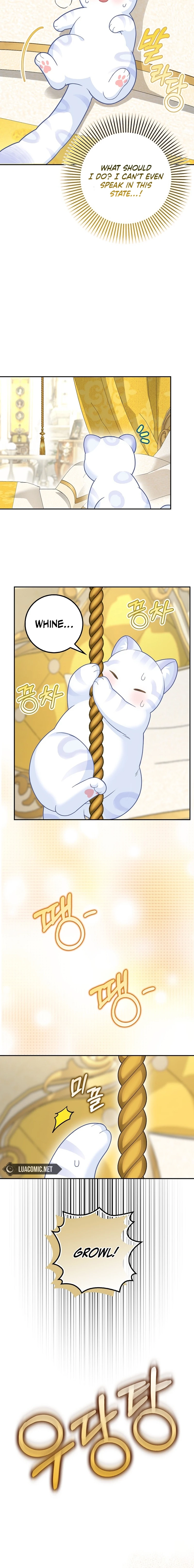 The Black Leopard Family’s Snow Leopard Baby Chapter 21 page 8 - 