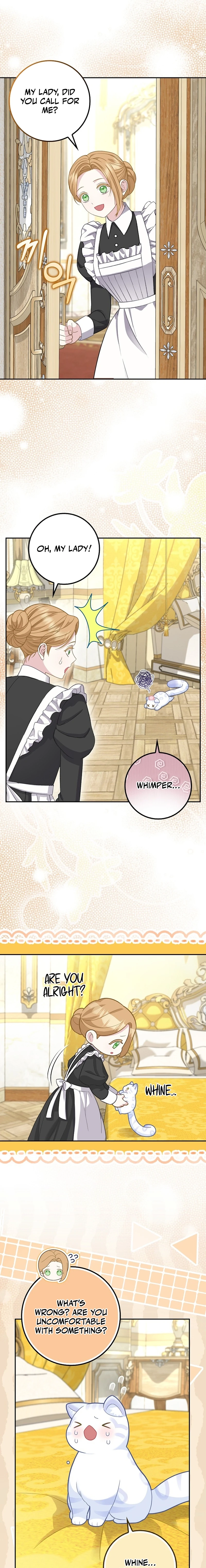 The Black Leopard Family’s Snow Leopard Baby Chapter 21 page 9 - 