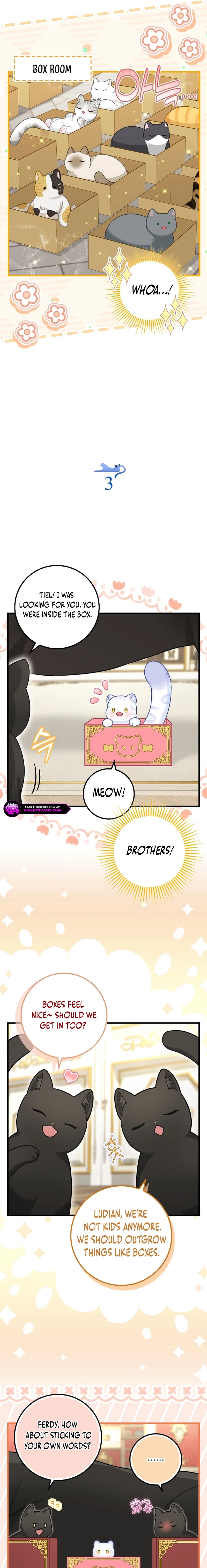 The Black Leopard Family’s Snow Leopard Baby Chapter 26 page 3 - 