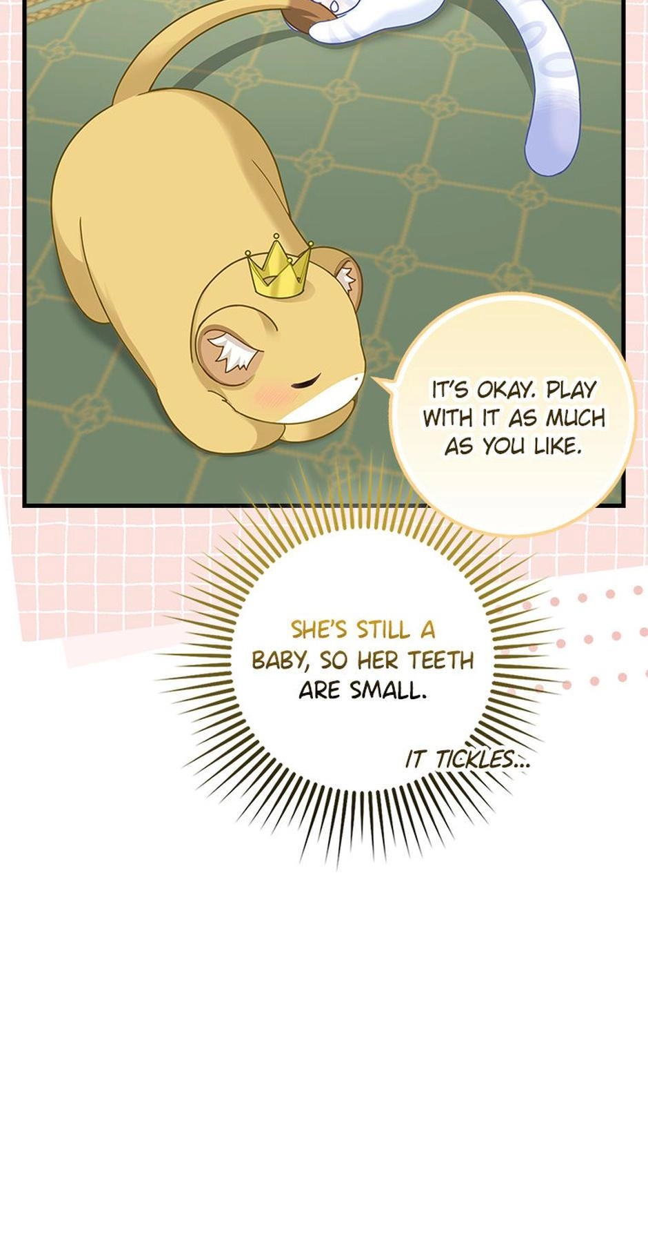 The Black Leopard Family’s Snow Leopard Baby Chapter 33.5 page 11 - 
