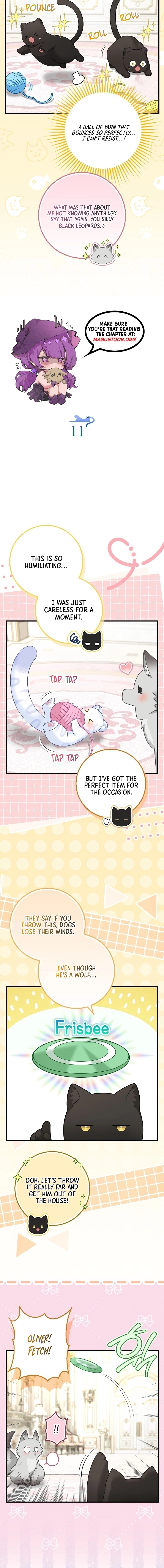 The Black Leopard Family’s Snow Leopard Baby Chapter 37.5 page 3 - 