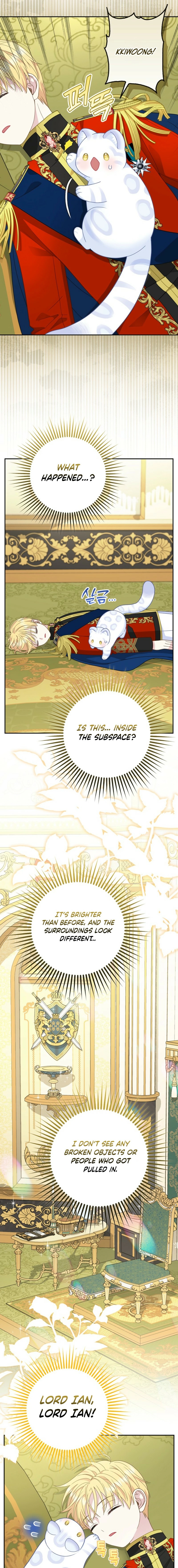 The Black Leopard Family’s Snow Leopard Baby Chapter 39 page 15 - 