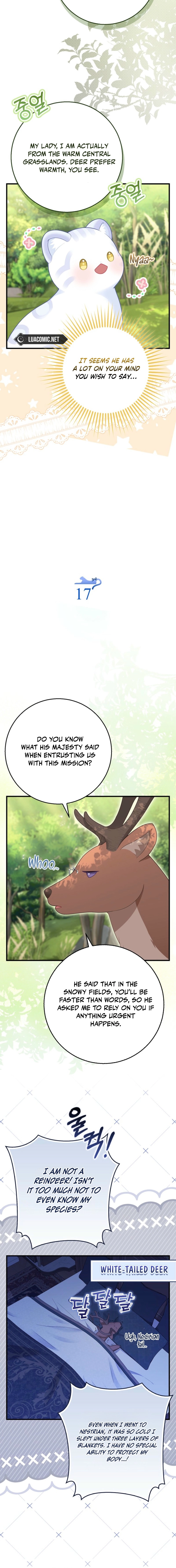 The Black Leopard Family’s Snow Leopard Baby Chapter 48.1 page 2 - 