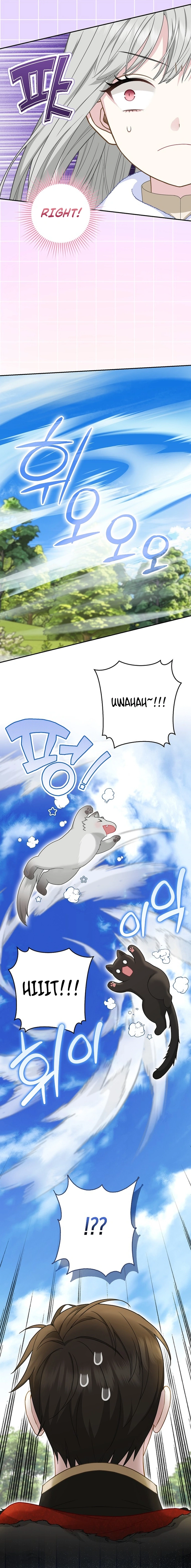 The Black Leopard Family’s Snow Leopard Baby Chapter 50 page 12 - 