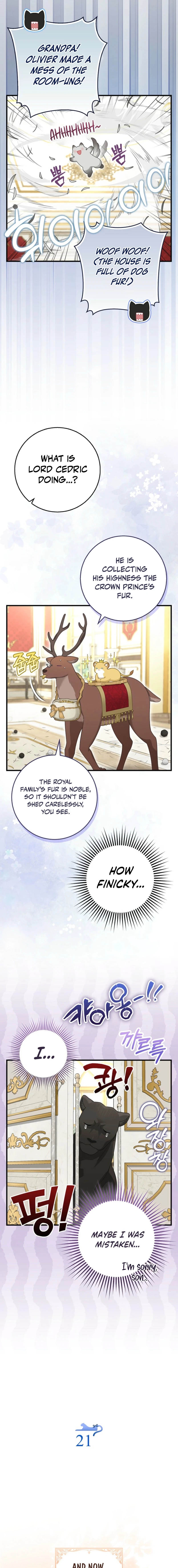 The Black Leopard Family’s Snow Leopard Baby Chapter 52.1 page 3 - 