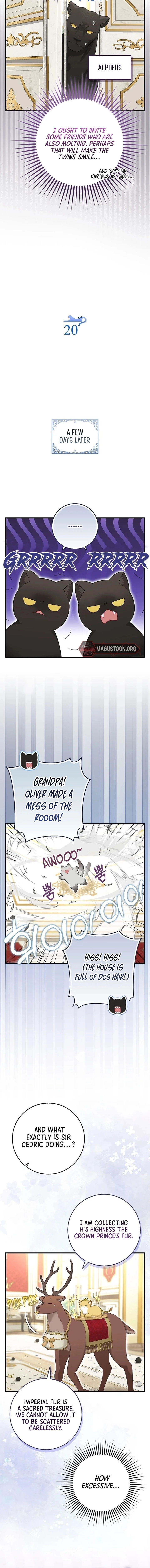 The Black Leopard Family’s Snow Leopard Baby Chapter 52.5 page 3 - 
