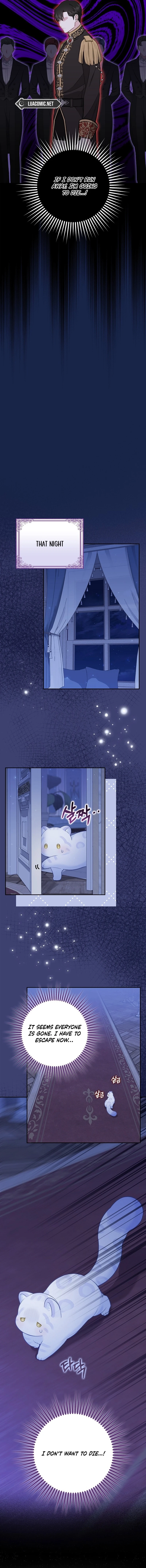 The Black Leopard Family’s Snow Leopard Baby Chapter 6 page 13 - 