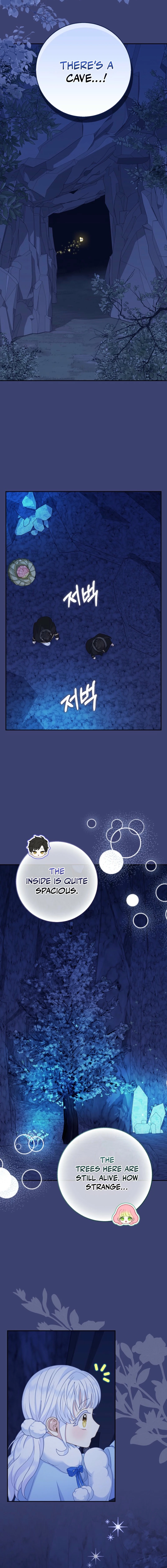 The Black Leopard Family’s Snow Leopard Baby Chapter 60 page 12 - 