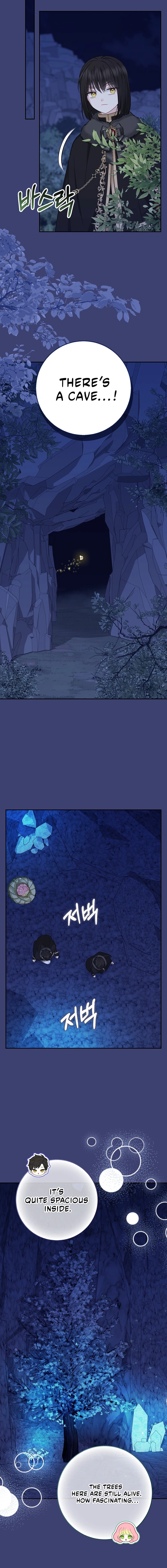 The Black Leopard Family’s Snow Leopard Baby Chapter 61 page 12 - 
