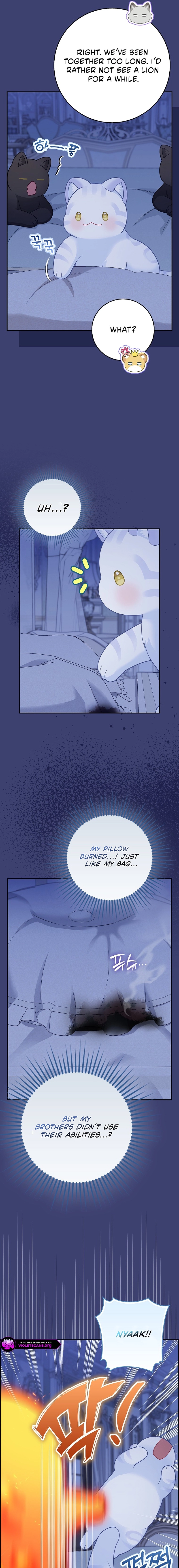 The Black Leopard Family’s Snow Leopard Baby Chapter 65 page 16 - 
