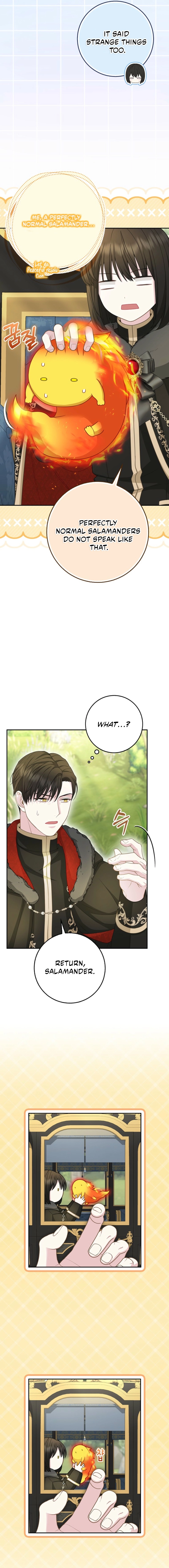 The Black Leopard Family’s Snow Leopard Baby Chapter 66 page 13 - 