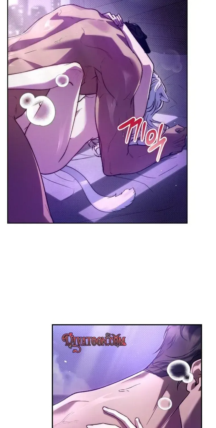 The Black Panther Next Door Chapter 1.2 page 12 - 
