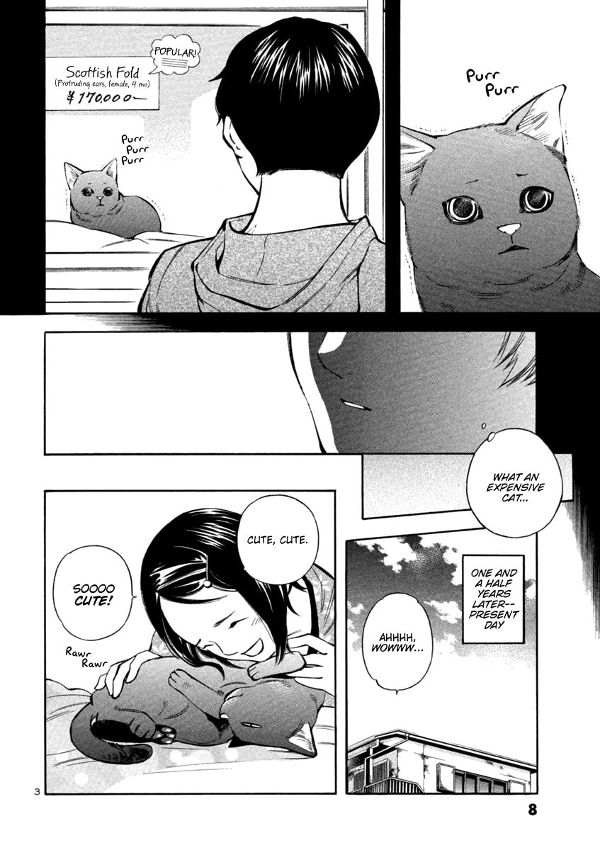 The Black Swindler Chapter 131 page 7 - 