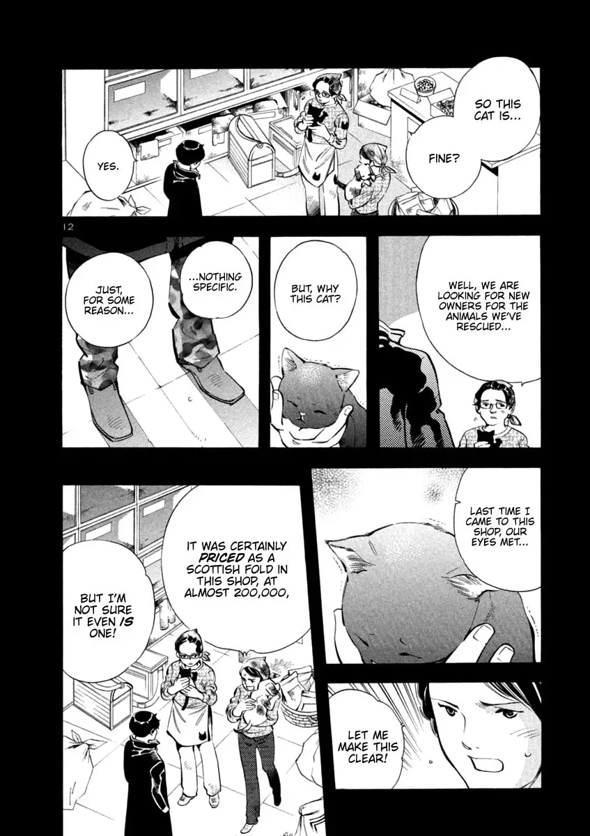 The Black Swindler Chapter 133 page 12 - 