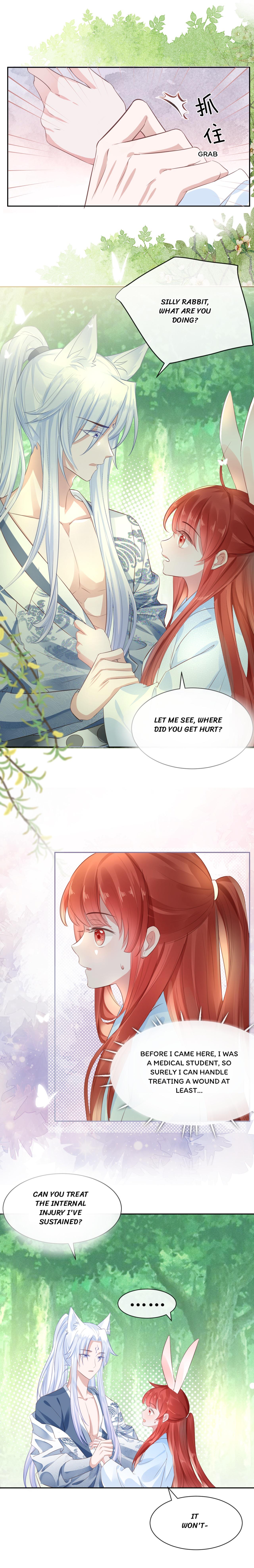 The Blackened Male Lead And Bunny Spirit Chapter 15 page 3 - 