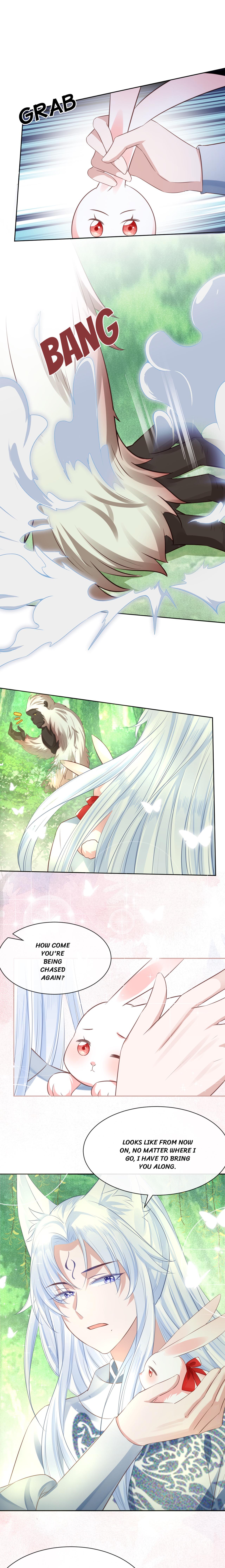 The Blackened Male Lead And Bunny Spirit Chapter 21 page 8 - 