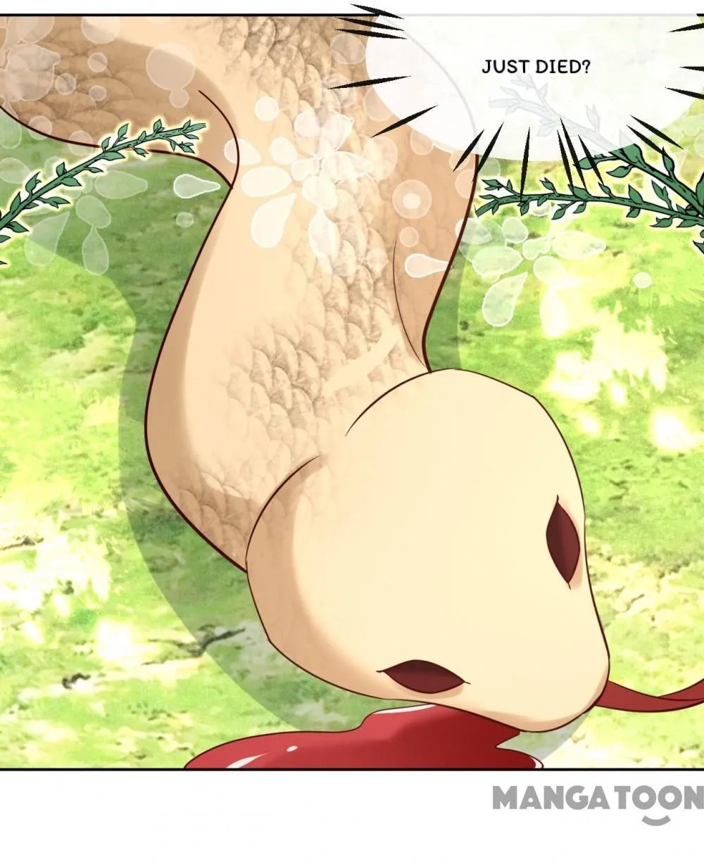 The Blackened Male Lead And Bunny Spirit Chapter 30 page 27 - 