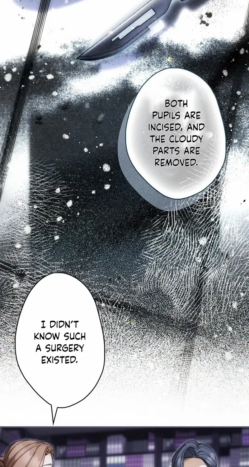 The Blind Beast’s Endless Night Chapter 27 page 12 - 
