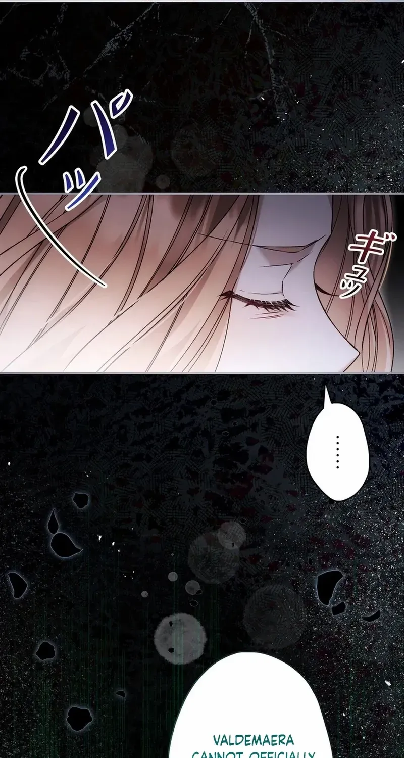 The Blind Beast’s Endless Night Chapter 28 page 41 - 