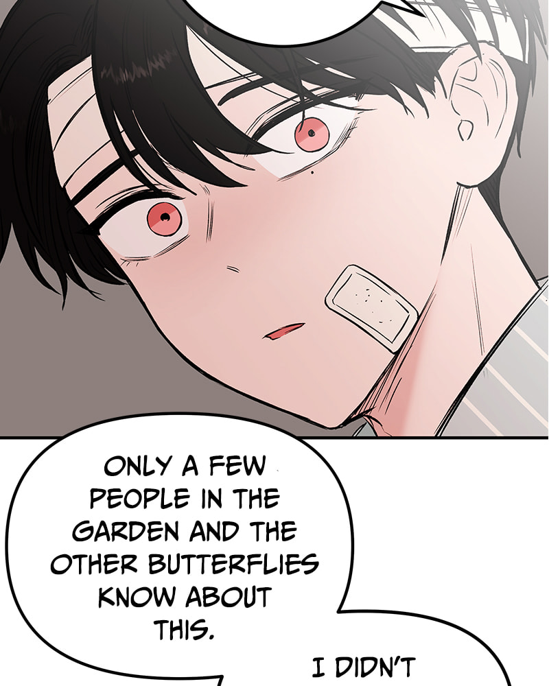 The Blood of the Butterfly Chapter 22 page 14 - 