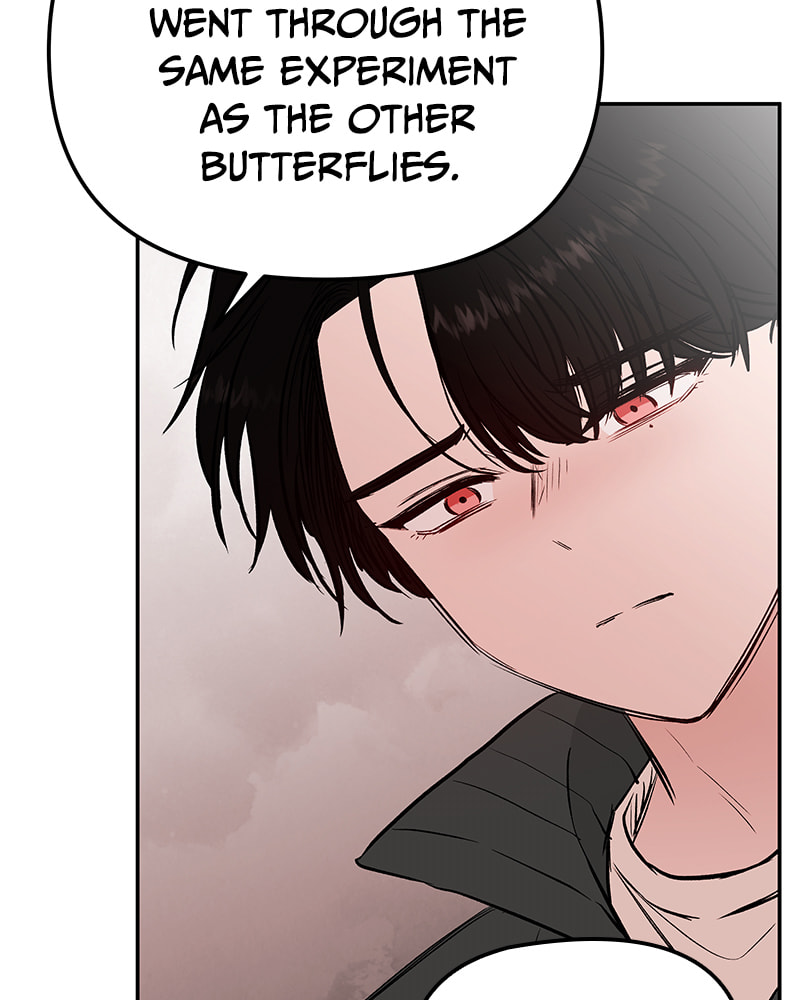 The Blood of the Butterfly Chapter 34 page 61 - 