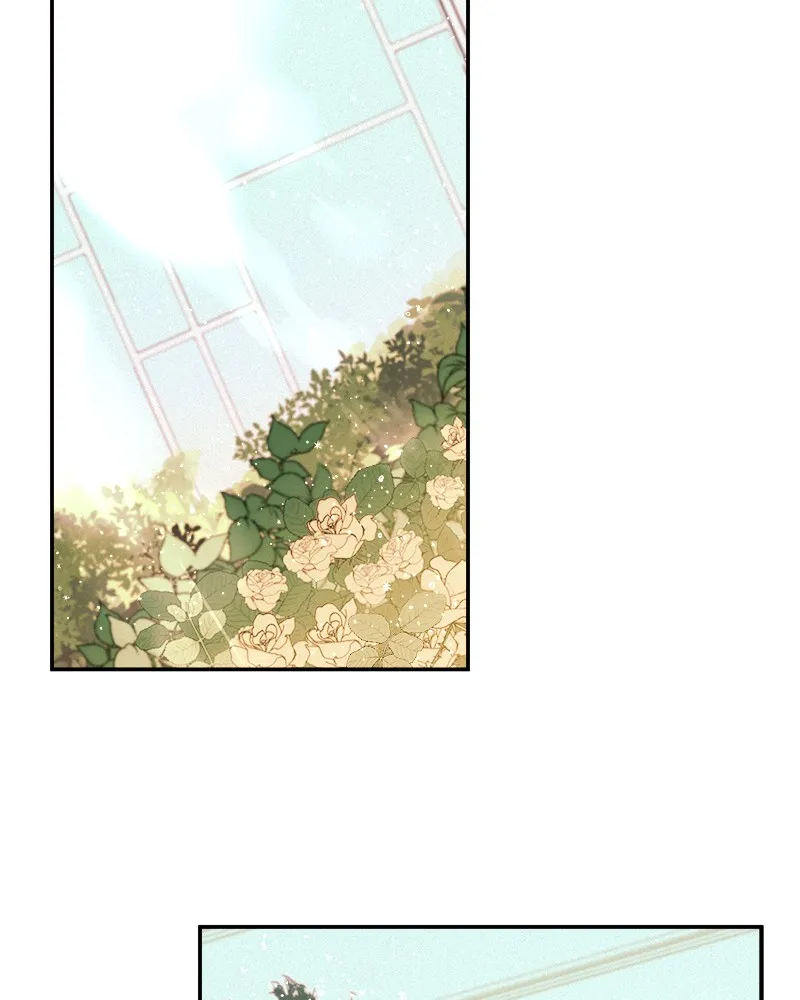 The Blood of the Butterfly Chapter 4 page 3 - 