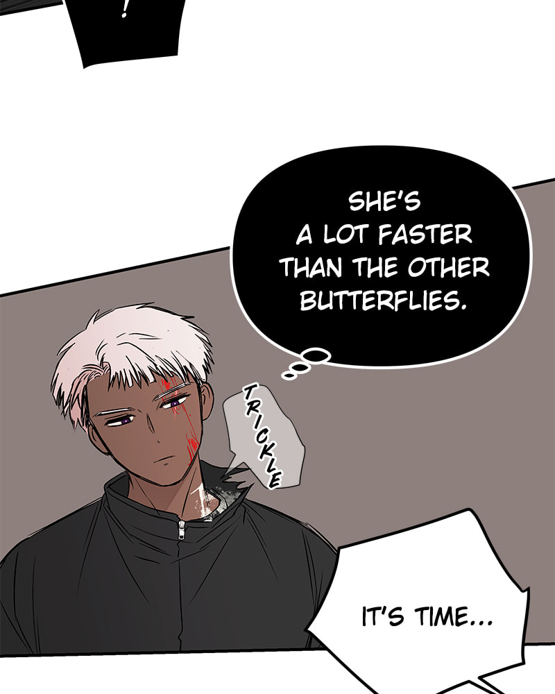 The Blood of the Butterfly Chapter 44 page 61 - 