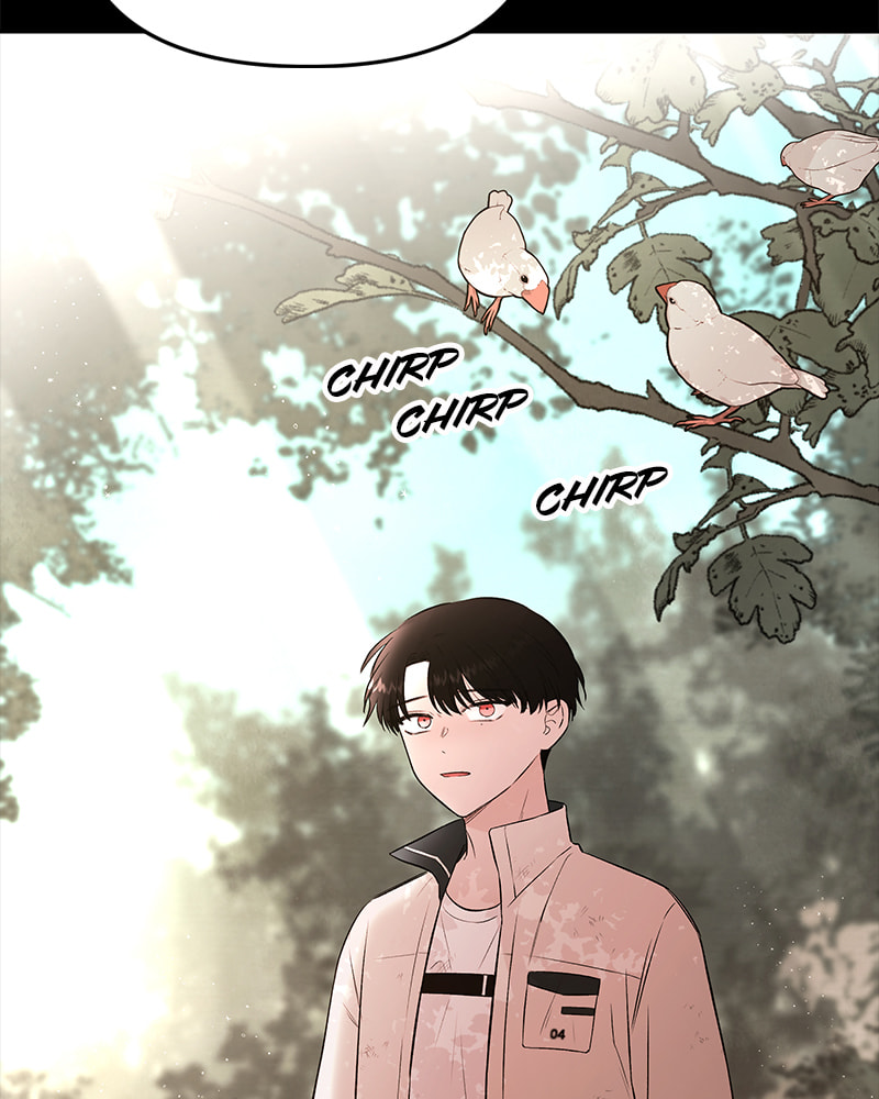 The Blood of the Butterfly Chapter 80 page 66 - 
