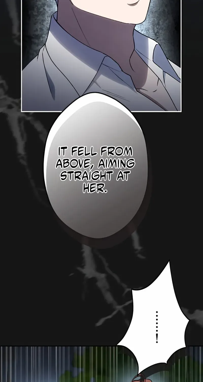 The Bloodthirsty Bride Devours the King Chapter 12 page 33 - 