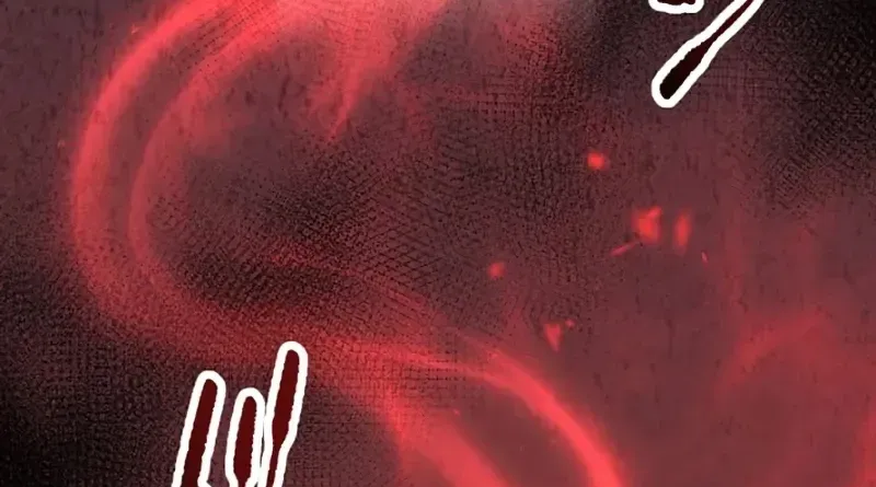 The Bloodthirsty Bride Devours the King Chapter 16 page 12 - 