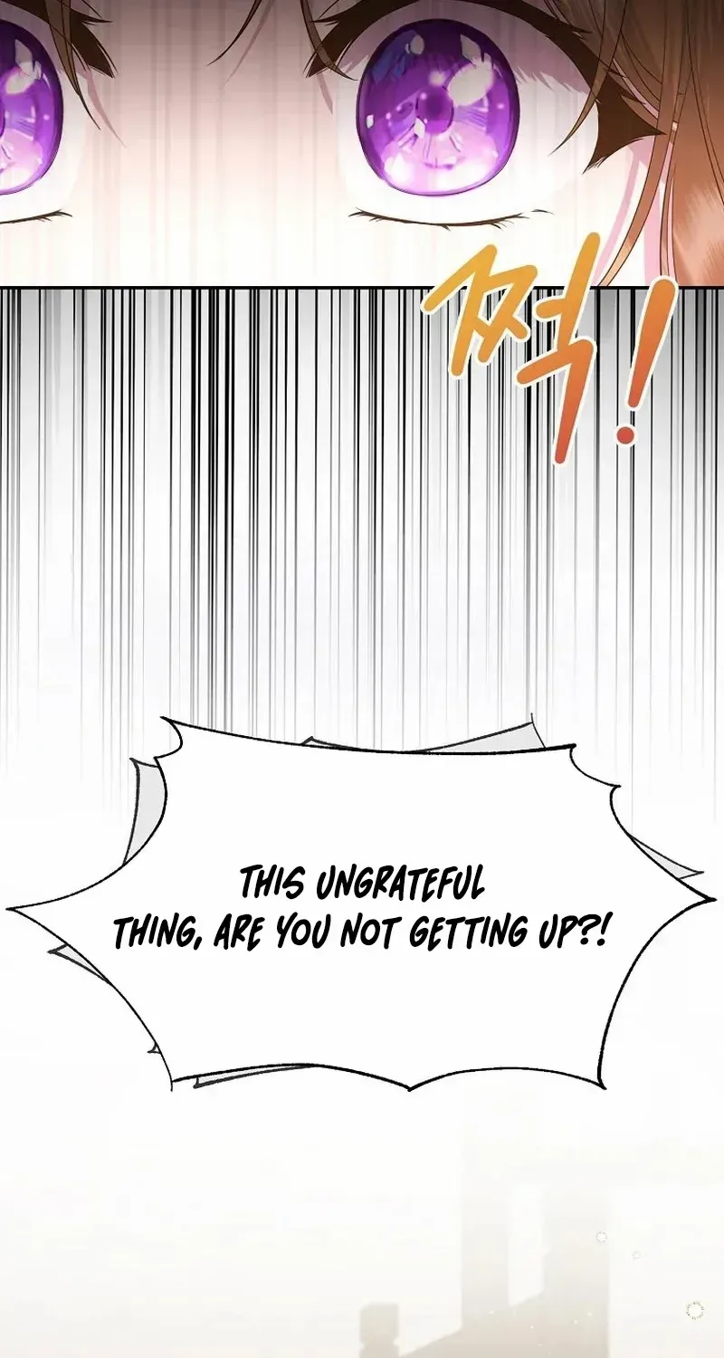 The Blooming Violet in the Back Garden Chapter 1 page 20 - 