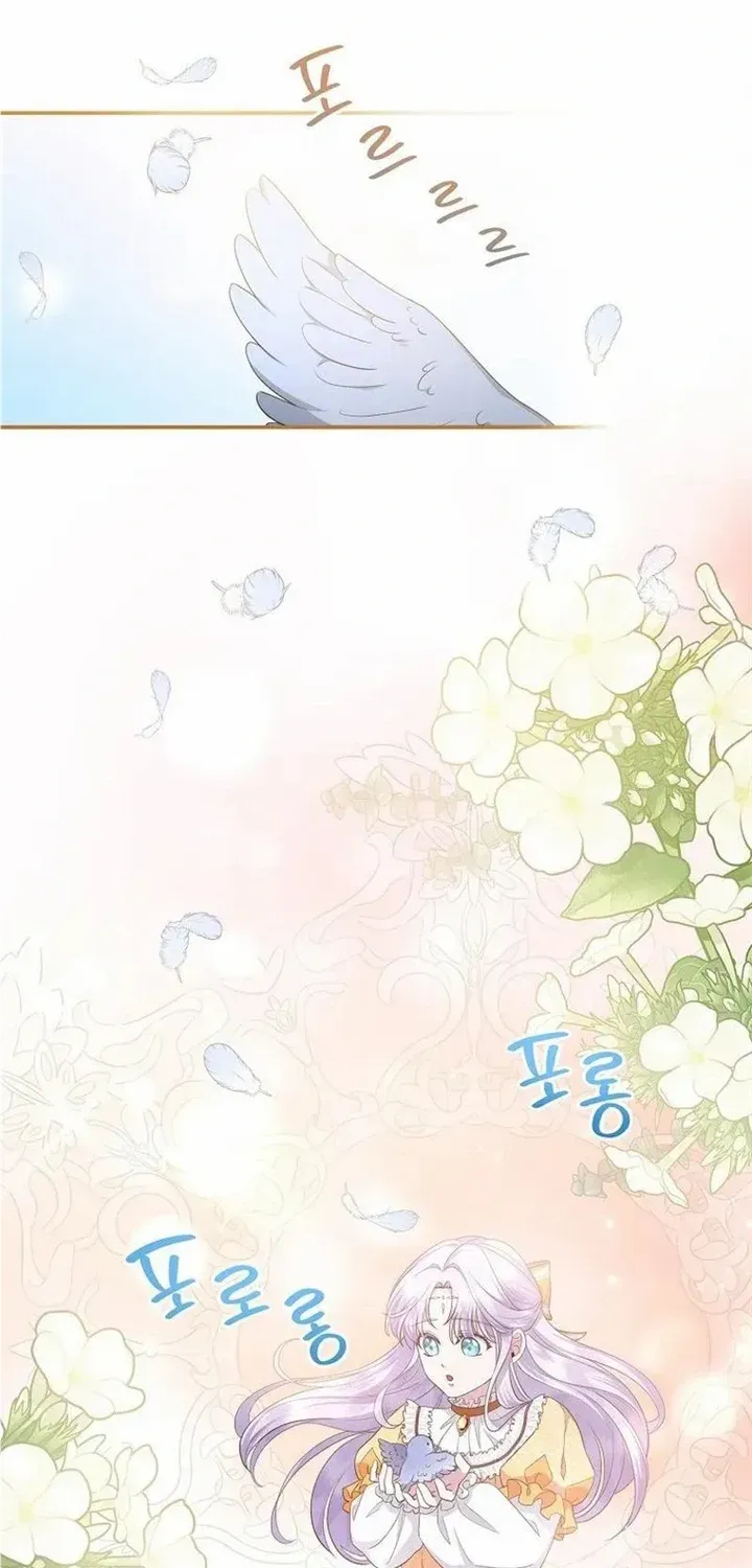 The Blooming Violet in the Back Garden Chapter 10 page 46 - 