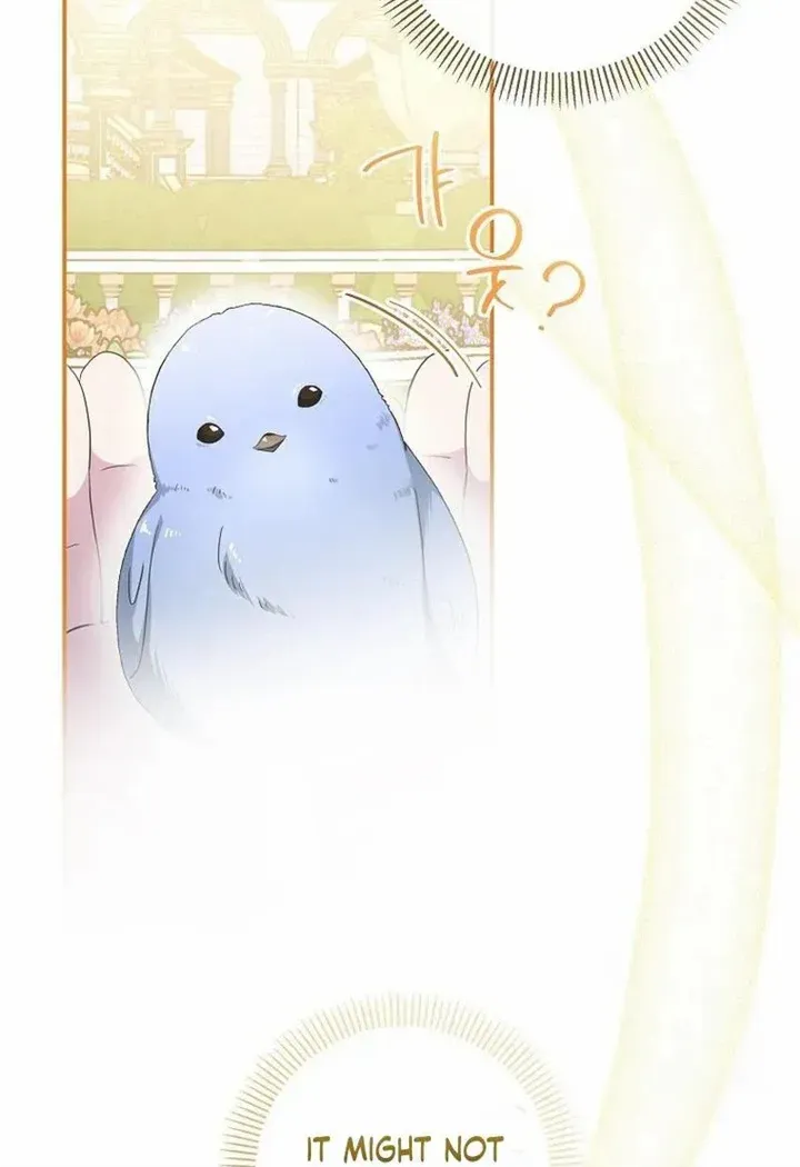 The Blooming Violet in the Back Garden Chapter 10 page 56 - 