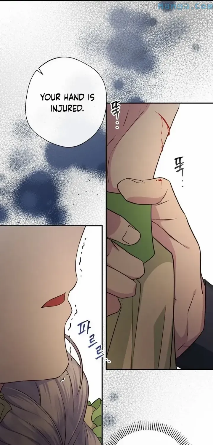 The Blooming Violet in the Back Garden Chapter 12 page 12 - 