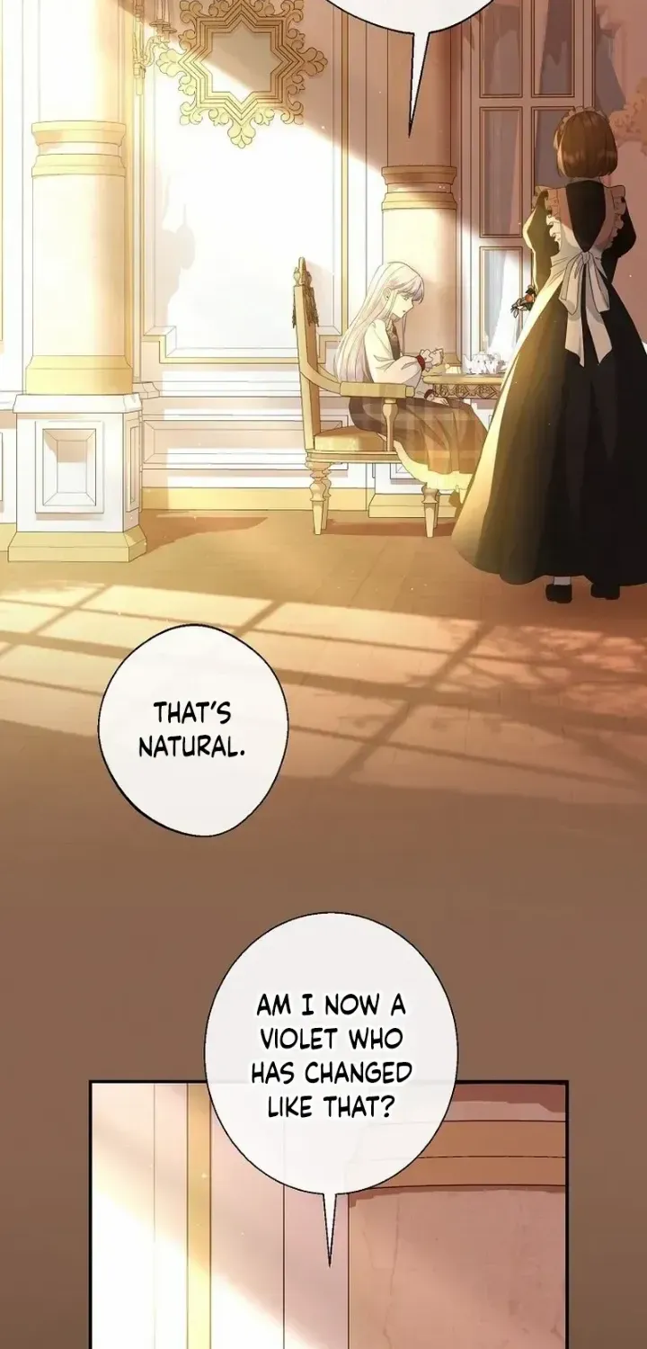 The Blooming Violet in the Back Garden Chapter 12 page 69 - 