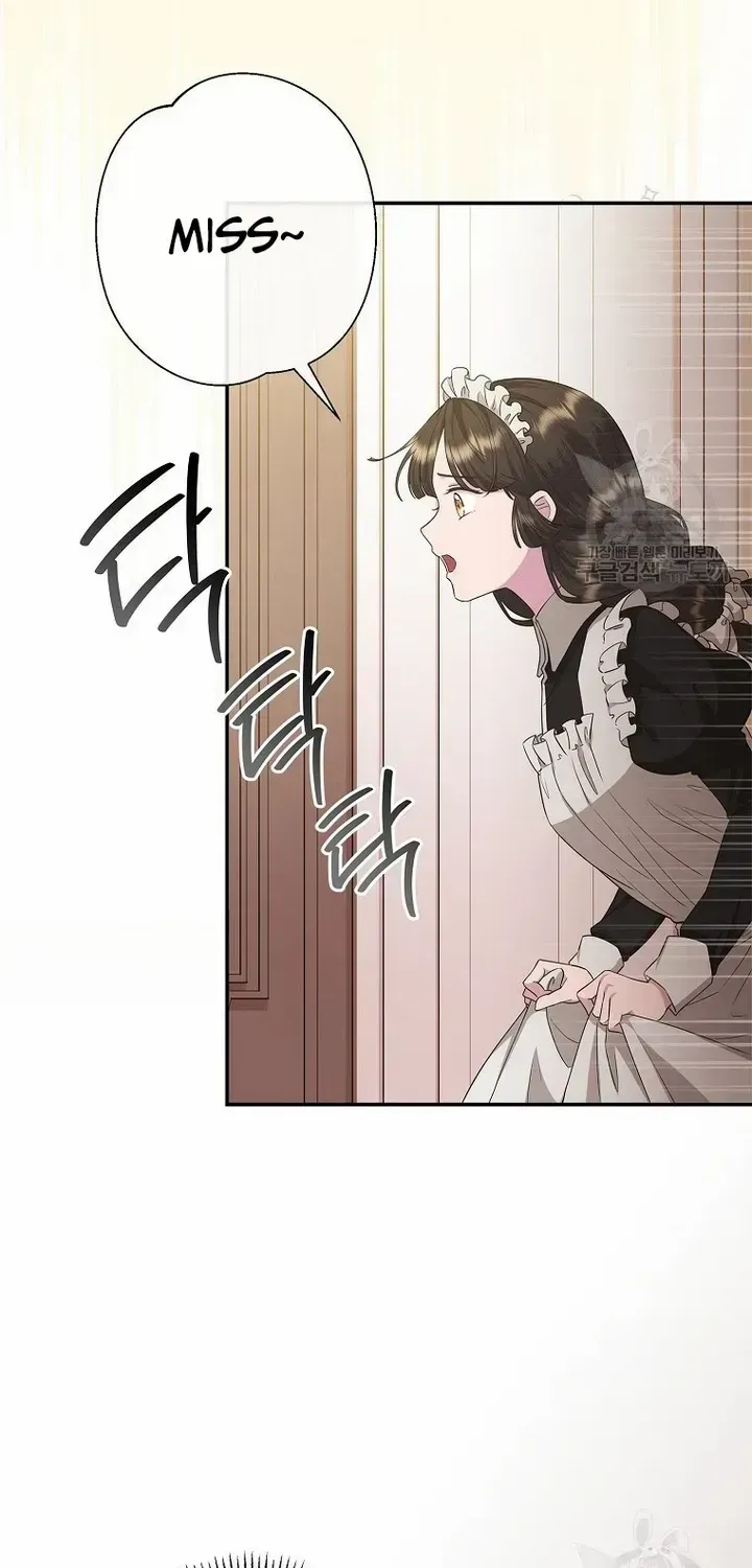 The Blooming Violet in the Back Garden Chapter 19 page 2 - 
