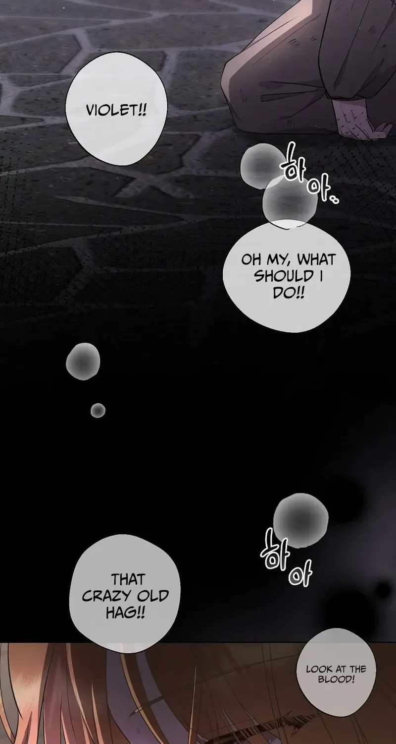 The Blooming Violet in the Back Garden Chapter 2 page 23 - 