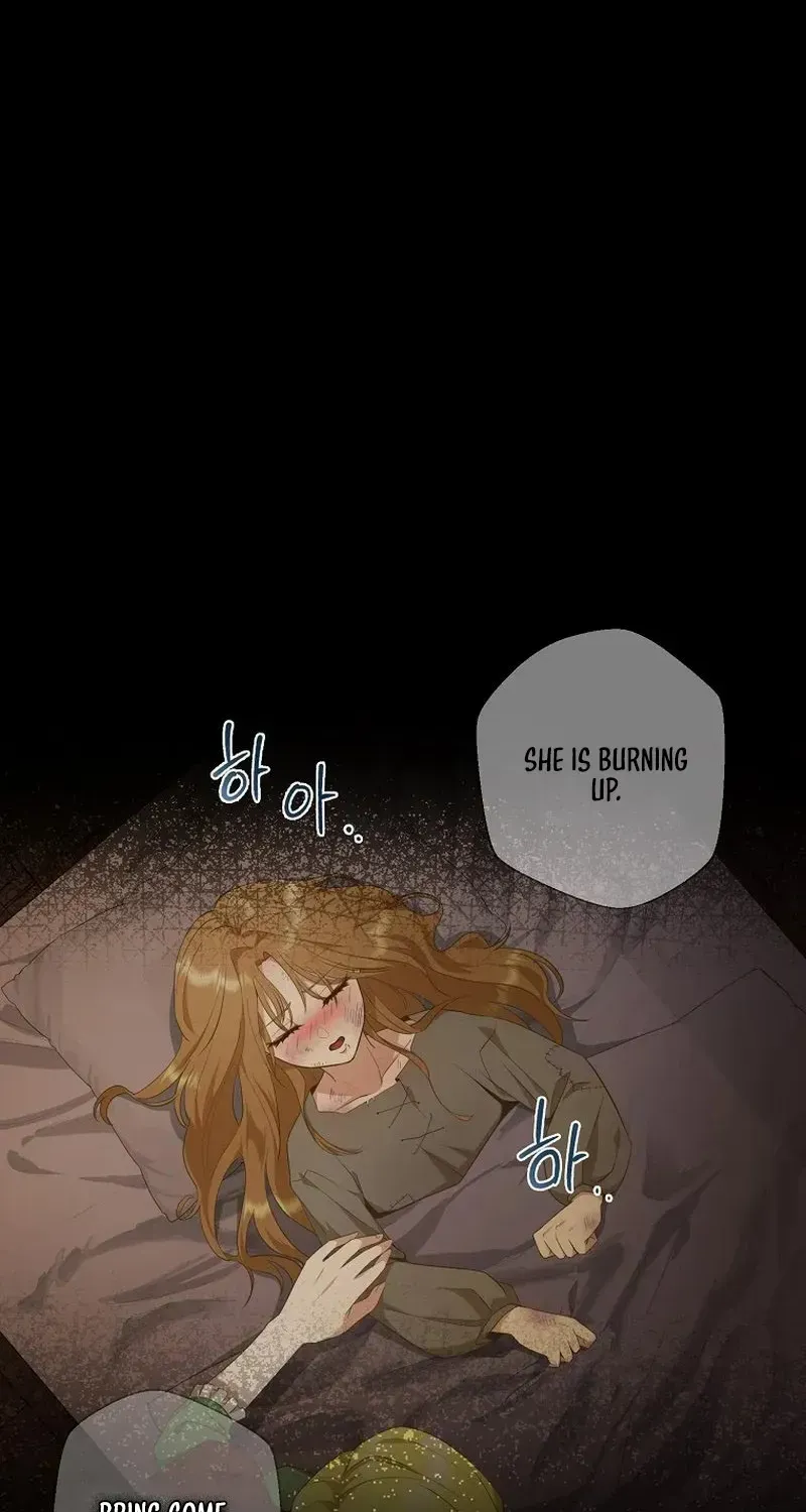 The Blooming Violet in the Back Garden Chapter 2 page 27 - 