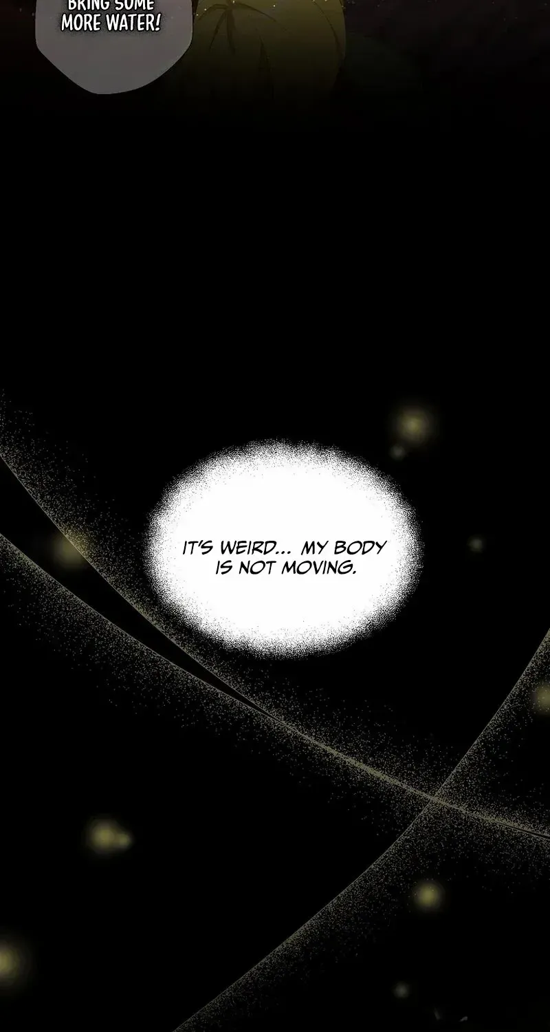 The Blooming Violet in the Back Garden Chapter 2 page 28 - 