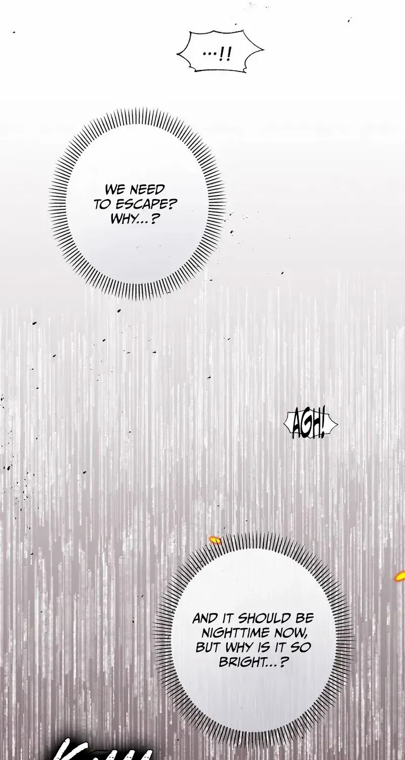 The Blooming Violet in the Back Garden Chapter 2 page 52 - 